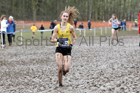 Womens under-20s 2018 British Inter Counties Cross Country Champs., Prestwold Hall, Loughborough. Photo: David T. Hewitson/Sports for All Pics